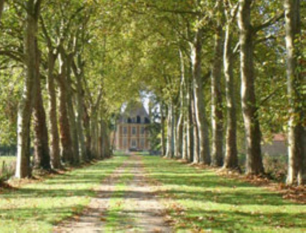 Chateau De Villars Villeneuve-sur-Allier Eksteriør billede