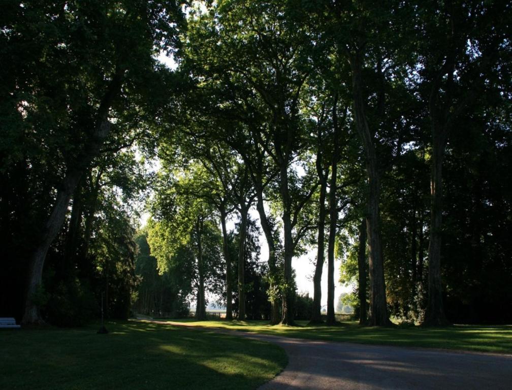 Chateau De Villars Villeneuve-sur-Allier Eksteriør billede