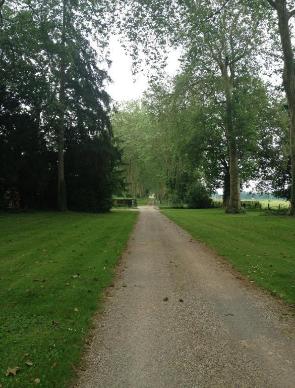Chateau De Villars Villeneuve-sur-Allier Eksteriør billede